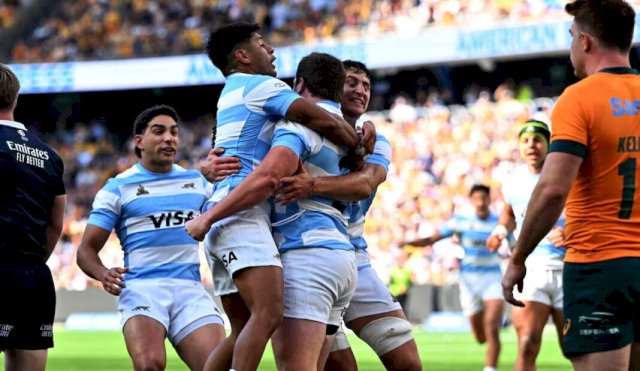 LOS PUMAS 